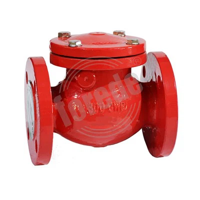 SS Swing Check Valve